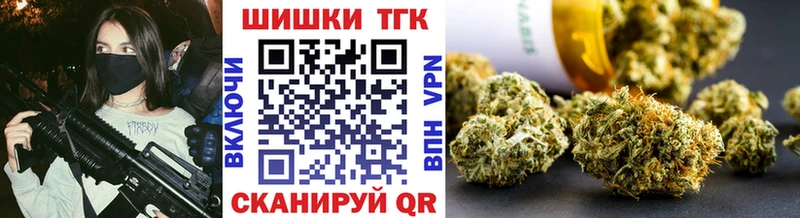 Купить закладки  Королёв  Марихуана сатива 